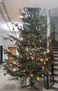 Unser diesjährige Weihnachtsbaum im Rathaus